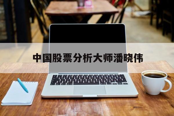 中国股票分析大师潘晓伟